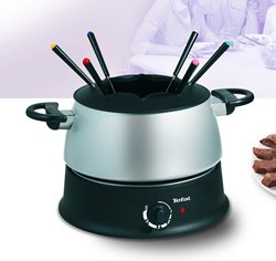 TEFAL EF3000